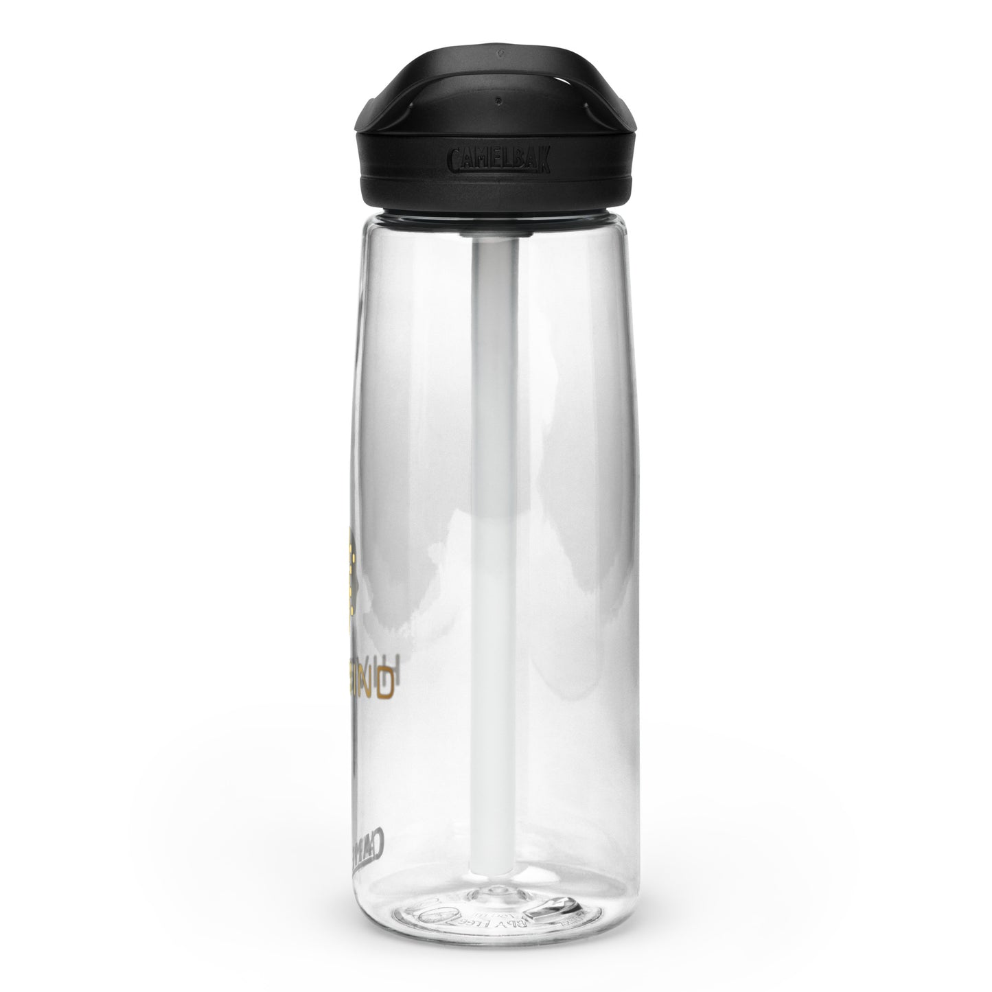 Sports water bottle