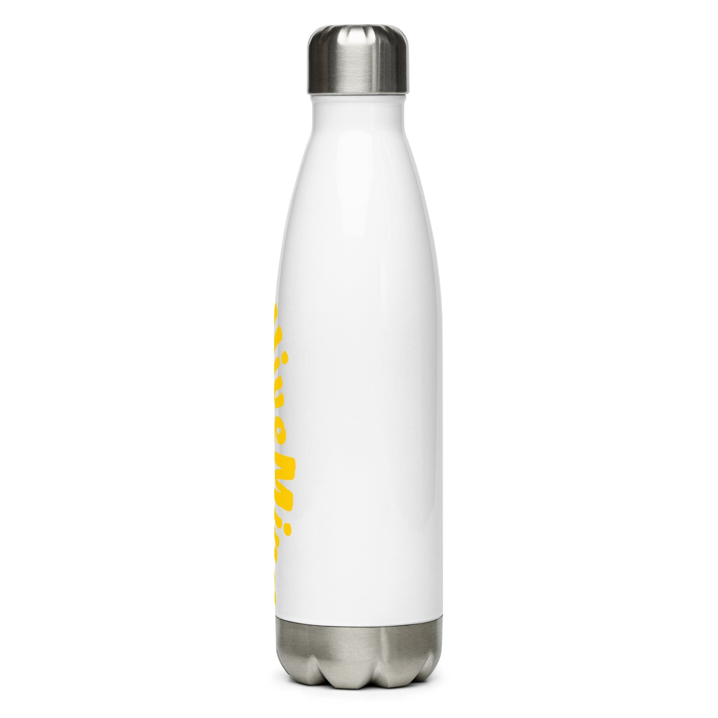 Stainless Steel Water Bottle